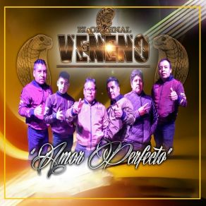 Download track Ando Bien Pinche Borracho El Original Veneno