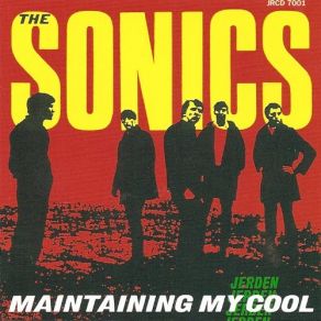 Download track Bama Lama Lu The Sonics