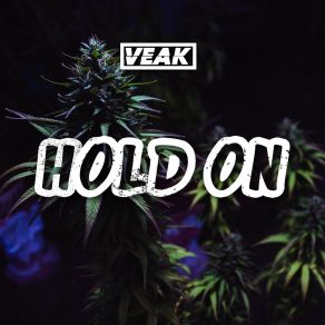 Download track Hold On VIp Veak