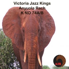 Download track Anyuola Rach Victoria Jazz Kings