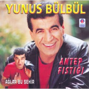 Download track Arapça Türkçe Potpori Yunus Bülbül