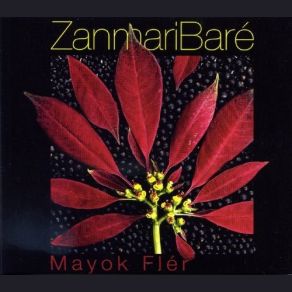 Download track Nout Lang Zanmari Baré