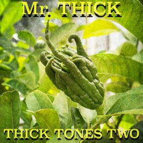 Download track Maui Mist Mr. THICK