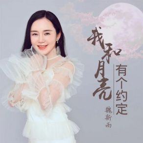 Download track 我和月亮有个约定 (伴奏版) 魏新雨