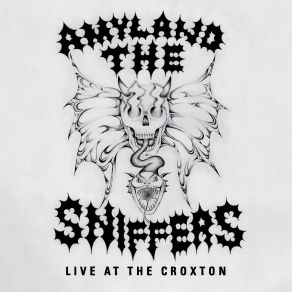 Download track Gacked On Anger Amyl And The Sniffers