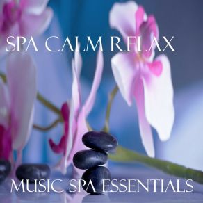 Download track Harmony Zen MUSIC SPA ESSENTIALS