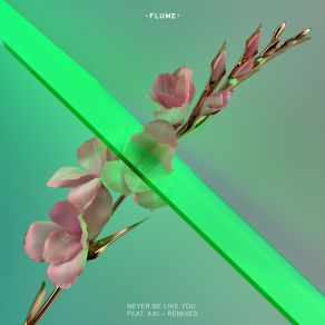 Download track Never Be Like You Teengirl Fantasy Remix Kai, Flume