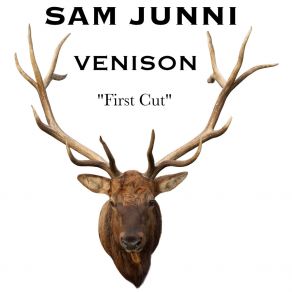 Download track The Deviant Sam JunniPete Honkamäki