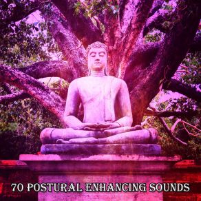 Download track Stillness Lullabies For Deep Meditation