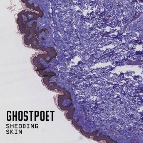 Download track Off Peak Dreams Ghostpoet