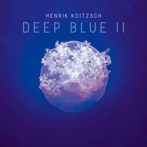 Download track Into Silence Henrik Koitzsch