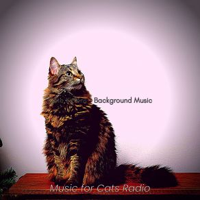 Download track Simple (Sleeping Cats) Music For Cats Radio