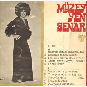 Download track Gül Yüzlülerin Sevkine Gel