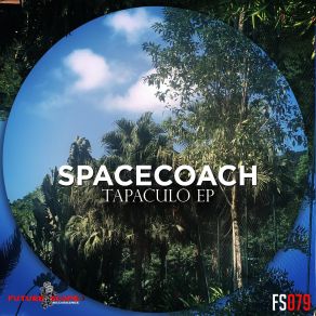 Download track Violet Sky Spacecoach