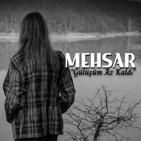 Download track Dağına Göre Kar Mehsar