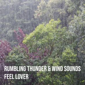 Download track Rumbling Thunder & Wind Sounds, Pt. 56 Feel Lover