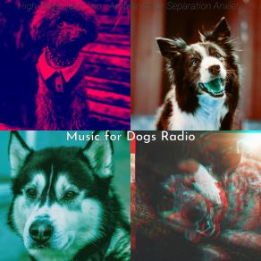 Download track Easy Music For Ambience Music For Dogs Radio