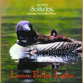 Download track Lake Voices Dan Gibson'S Solitudes, Hennie Bekker