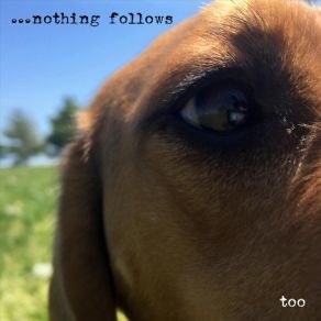 Download track Lucky Time Nothing Follows