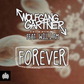 Download track Forever (Radio Edit) Wolfgang Gartner, Will I Am