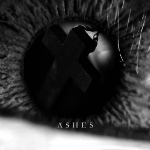 Download track Ashes Artie Ziff