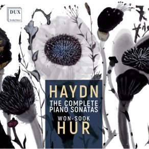 Download track Sonata (Partita) In G Major, Hob. XVI: 6: III Adagio Won-Sook Hur