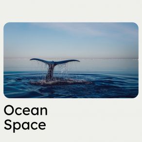 Download track Take Ocean Sounds Of Nature Noise