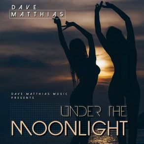 Download track Under The Moonlight (Instrumental Mix) Dave Matthias