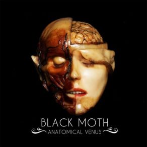 Download track Pig Man Black Moth