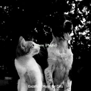 Download track Dream Like (Relaxing Cats) Excellent Music For Cats