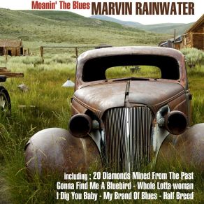 Download track Half Breed Marvin Rainwater