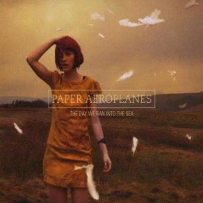 Download track Skies On Fire Paper Aeroplanes