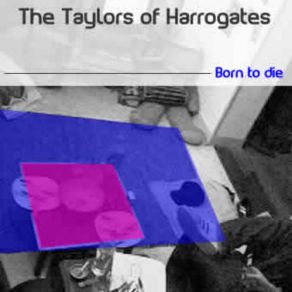 Download track Nod Lovers The Taylors Of Harrogate