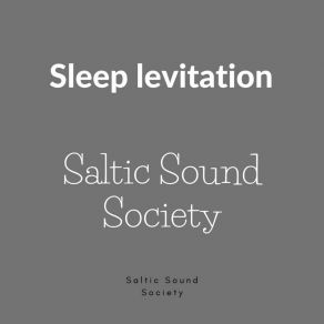 Download track Running From My Shadow Saltic Sound Society