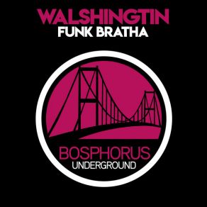 Download track Funk Bratha (Original Mix) Walshingtin