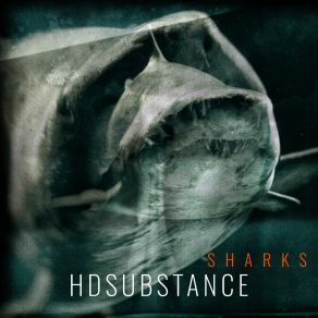 Download track Blacktip Reef Shark HD Substance