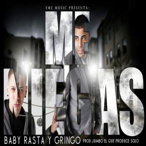 Download track Me Niegas Baby Rasta Y Gringo