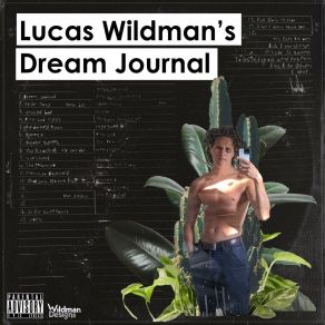 Download track The Ricochet Lucas Wildman