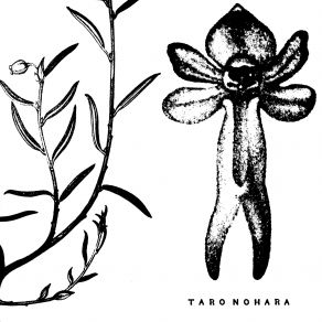 Download track The Universe Above The Garden Taro Nohara