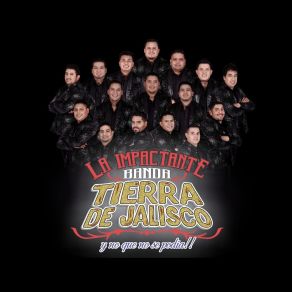 Download track Total Qué Más Da Impactante Banda Tierra De Jalisco