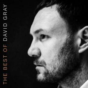 Download track Flame Turns Blue David Gray