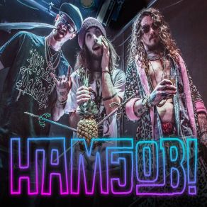 Download track Spun Hamjob!