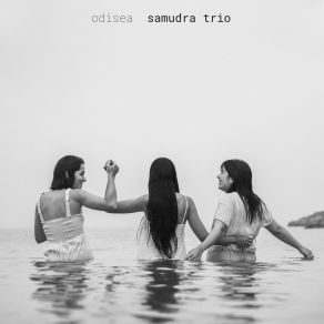 Download track 24 Negro Melodies, Op. 59: No. 10. Deep River Samudra Trio