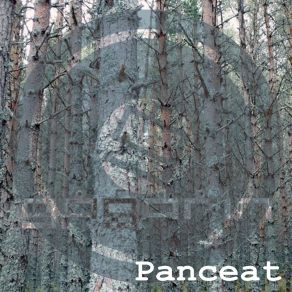 Download track Panceat (USRNM Remix) Gagarin