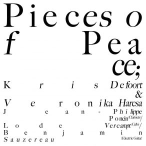 Download track Pieces Of Peace Ii' Silence & Joy Harcsa Veronika, Kris Defoort