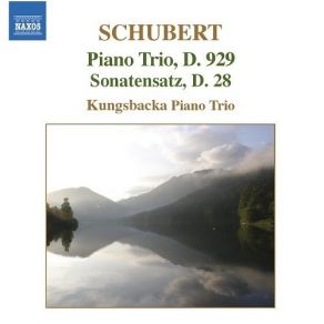 Download track 5. Sonatensatz In B Flat Major D. 28 Franz Schubert