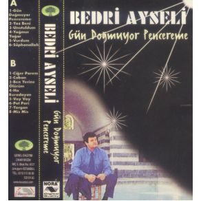 Download track Ben Yerine Ölürüm Bedri Ayseli