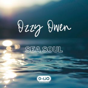 Download track Sea Soul Ozzy Owen