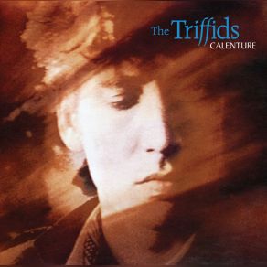 Download track Blinder By The Hour The Triffids