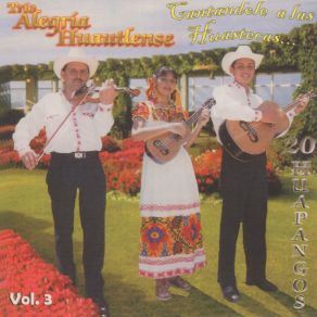 Download track El Hidalguense Trio Alegria Huautlense